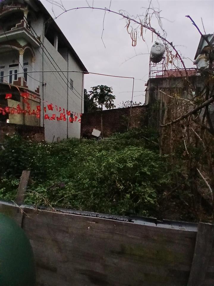 Bán đất đường đền gióng thôn vệ lính'sóc sơn dt 58m ô tô tải vào giá 1,9 tỷ