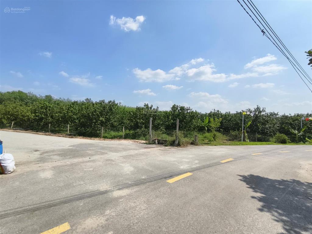 Đất ngay kcn bàu bàng  dt lớn ngang 10  giá thương lượng với chủ  sổ riêng