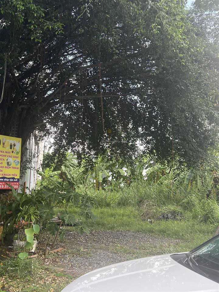 Bán đất xây biệt thự mặt tiền trương văn bang thạnh mỹ lợi quận 2. dt  7.1x19, giá 53,2 tỷ