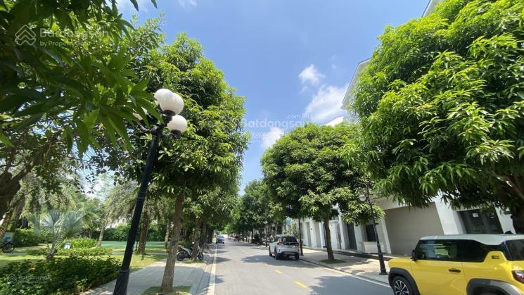 Nổi bật khu sao biển 23 liền kề vừa ở vừa kinh doanh giá chỉ 16,5 tỷ  0889 729 ***