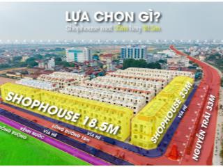 Cho thuê liền kề him lam thường tín, mặt đường 18.5m