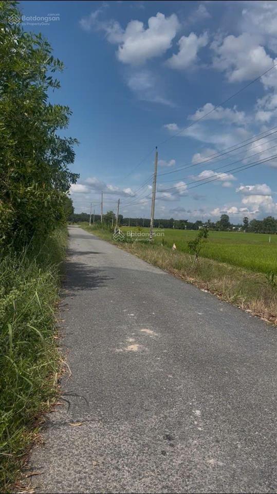 Bán đất 215.5m2 tại ấp long cường, long thuận, bến cầu, tây ninh, chỉ với 290 triệu vnd