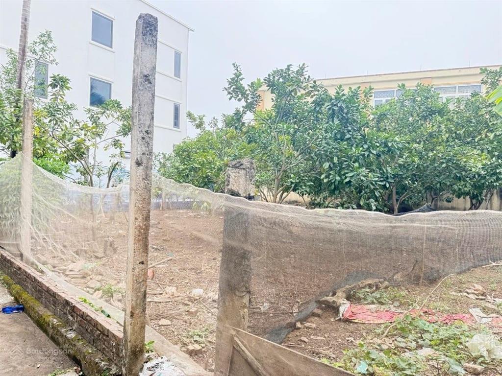 Chỉ 5.3 tỷ! đất bắc từ liêm 50m ô tô đỗ cửa sổ sẵn cất két