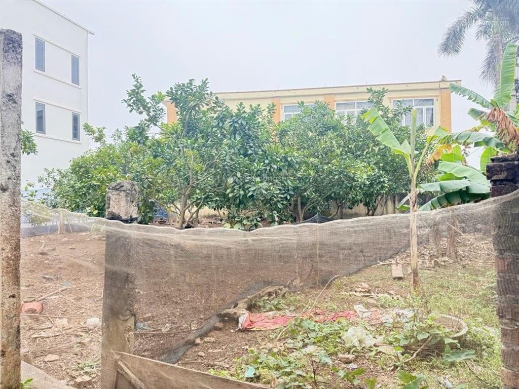 Chỉ 5.3 tỷ! đất bắc từ liêm 50m ô tô đỗ cửa sổ sẵn cất két