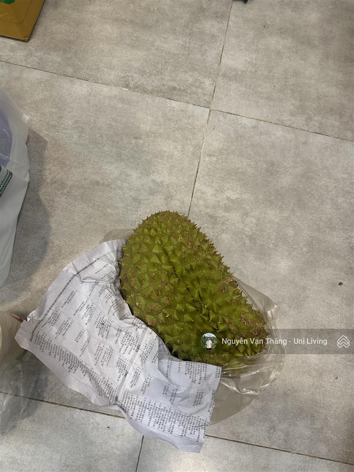 Căn hộ khu ven sông thạnh mỹ lợi  quận 2, kế bên đảo kim cương, 57p qua sala, thảo điền, q1