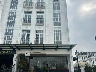 Bán biệt thự shophouse mặt đường tây thăng long giá đầu tư