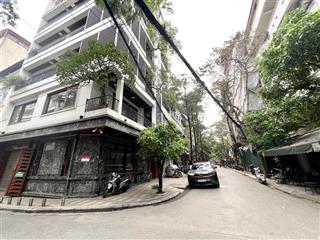 Bán nhà huỳnh thúc kháng với dt 30m2x6t, thang máy, ô tô đỗ cửa, tặng nội thất, giá 14.3tỷ