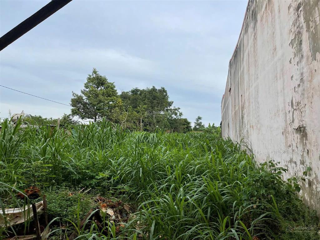 Bán đất mặt tiền ql14 chư pưh, gia lai giáp đường bê tông lớn  0911 572 ***