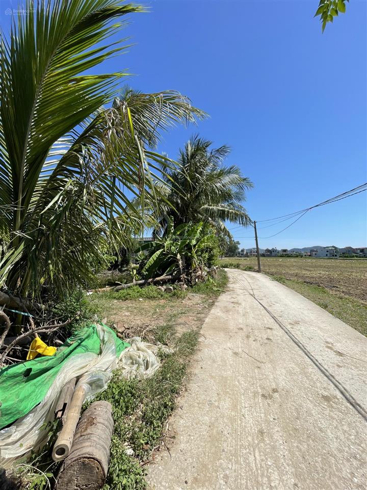 Chính chủ cần bán đất biển hải tiến