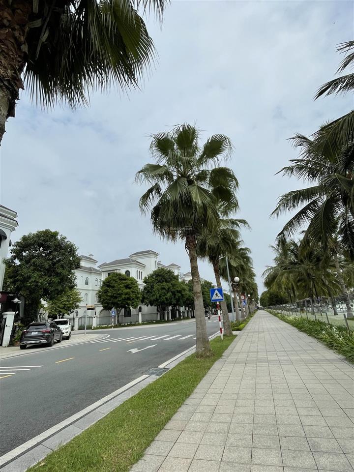 Shophouse lô góc  trung tâm vườn nhật  khu vinhomes ocean park 1  kinh doanh đỉnh.