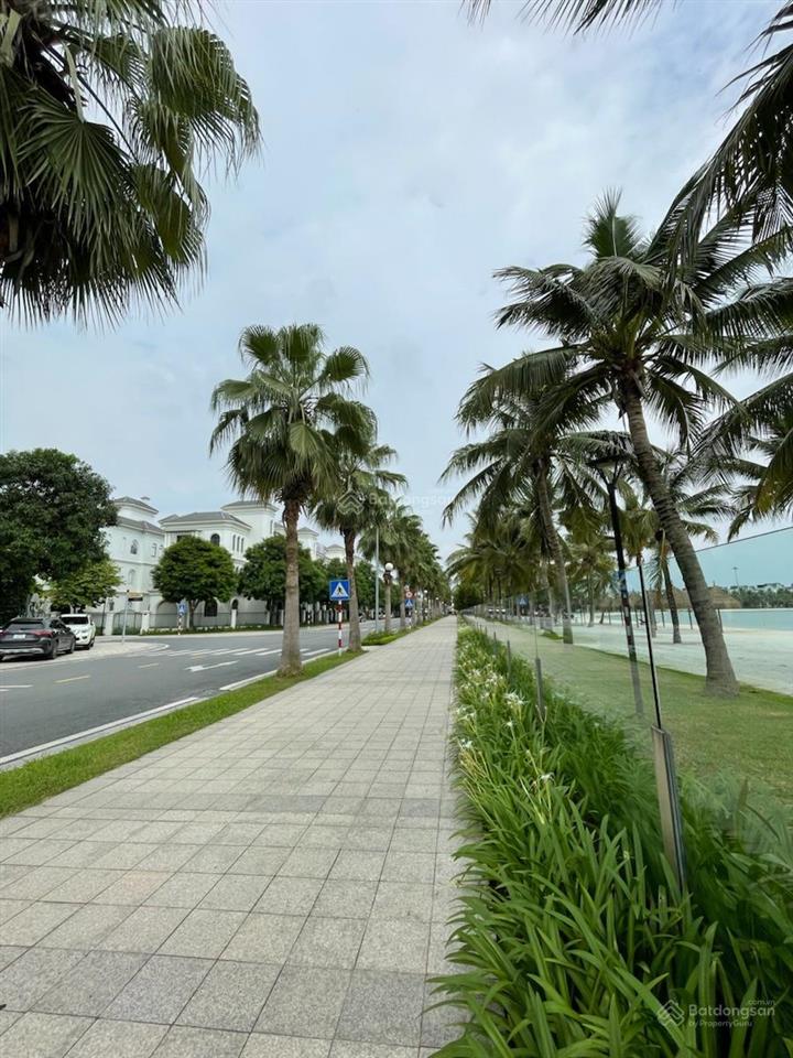 Shophouse lô góc  trung tâm vườn nhật  khu vinhomes ocean park 1  kinh doanh đỉnh.