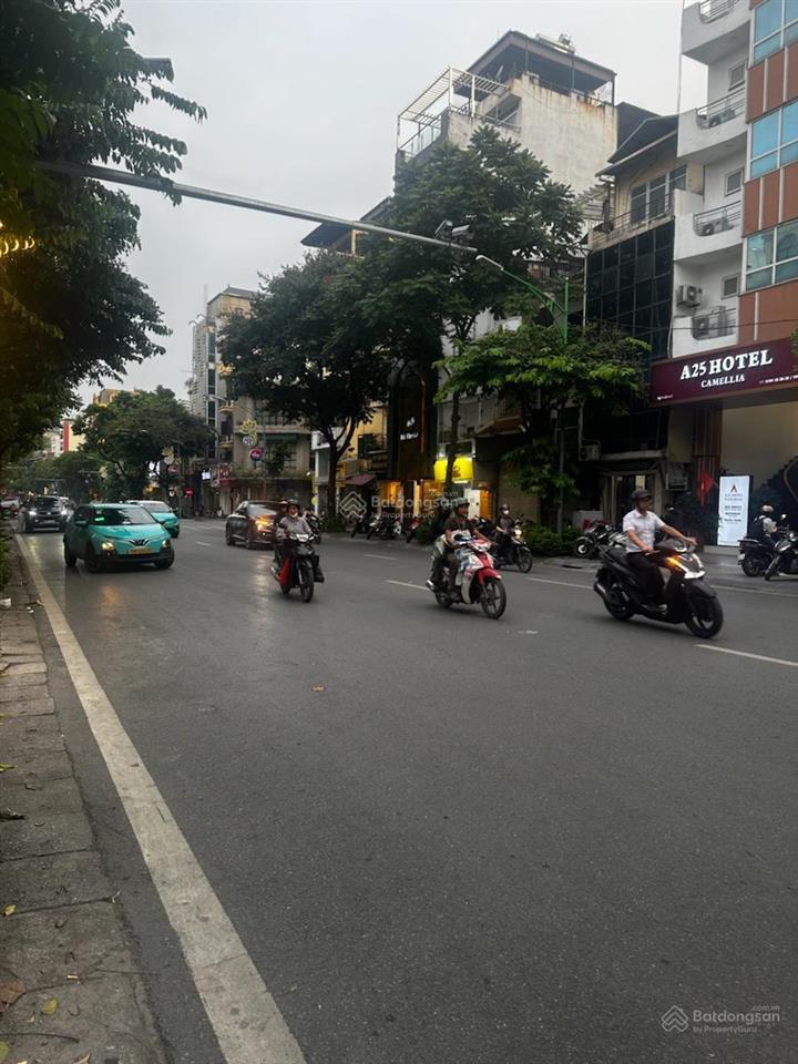 Siêu phẩm mặt phố phan chu chinh. hoàn kiếm | 9 tầng thang máy | dòng tiền khoảng 3 tỷ/năm.