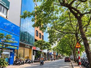Bán nhà võng thị 6 tầng thang máy ô tô tránh kinh doanh văn phòng  hoặc homestay.