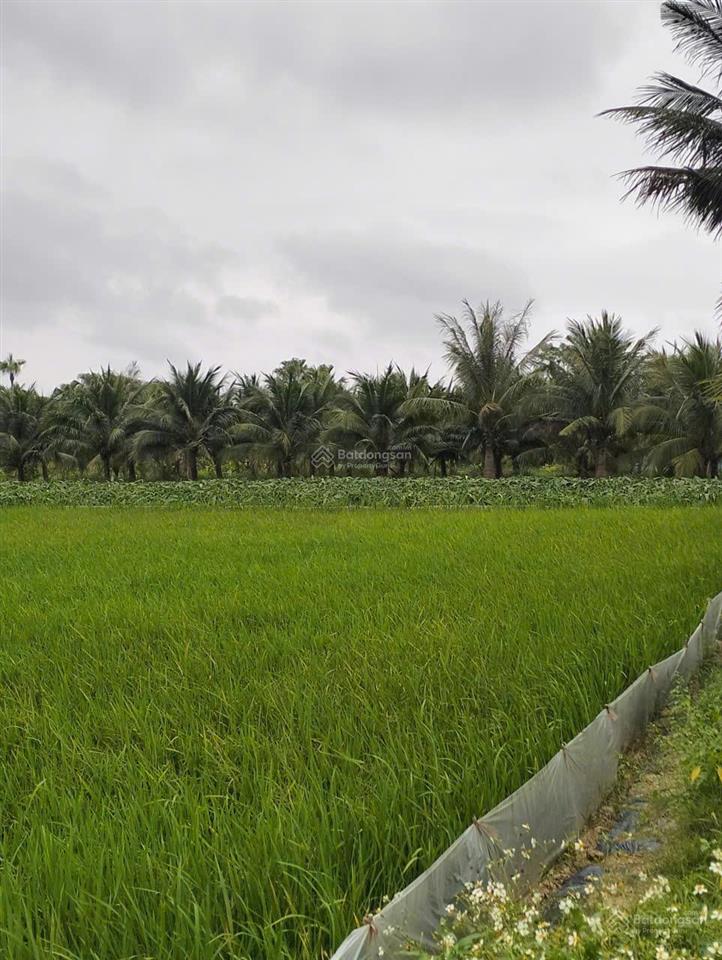 Cần bán trang trại 9924m2 tại thôn châu sơn, xã quảng chính, gần biển quảng lợi