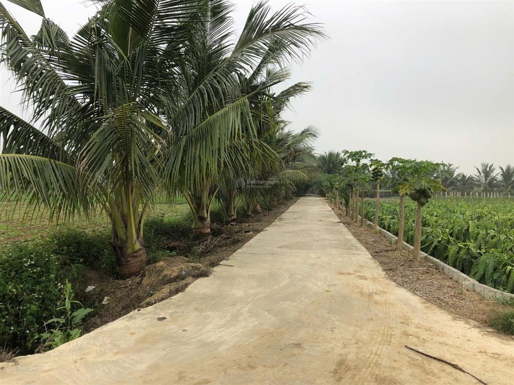 Cần bán trang trại 9924m2 tại thôn châu sơn, xã quảng chính, gần biển quảng lợi
