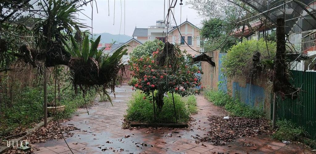 Bán nhà mặt phố 1000m2, 26,5 tỷ tại đền gióng, phù linh, huyện sóc sơn, hà nội