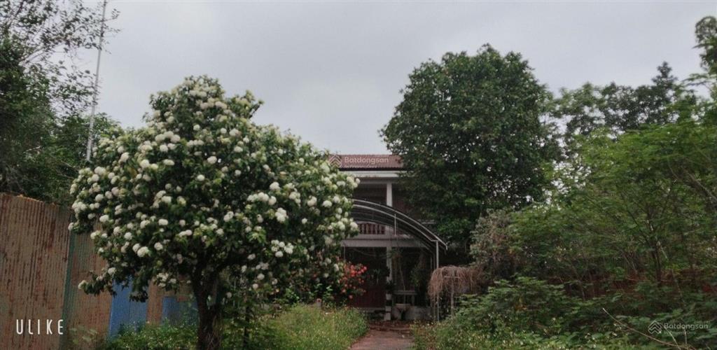 Bán nhà mặt phố 1000m2, 26,5 tỷ tại đền gióng, phù linh, huyện sóc sơn, hà nội