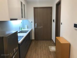 Cho thuê cc studio, 25.7m2 tầng đẹp view thoáng full nội thất giá chỉ 810tr!