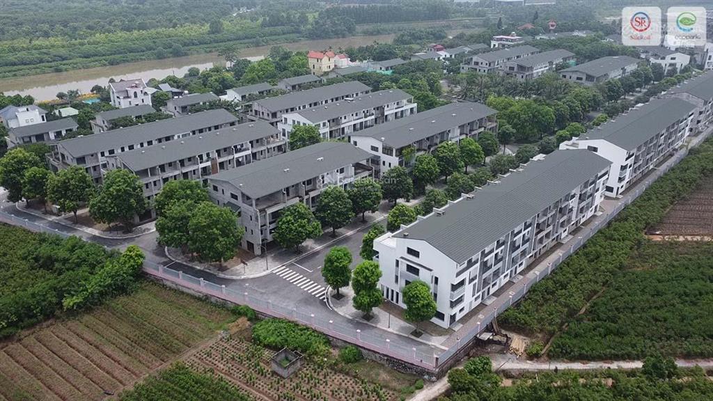 Bán liền kề 1c ecopark  spring valley  căn góc dt 155,5m² xây 4 tầng, 3 mặt thoáng, giá 26,x tỷ