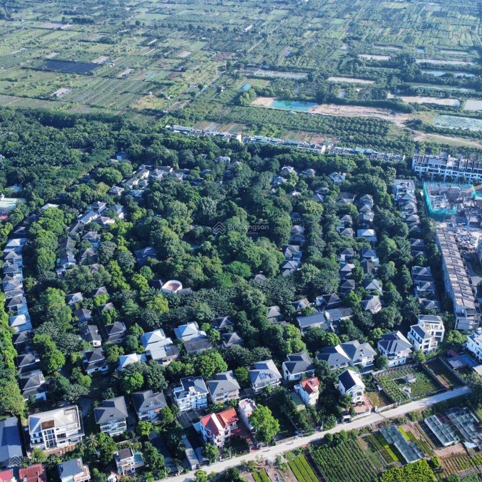 Biệt thự đơn lập vườn mai ecopark full nội thất giá sốc 11x tr/m2