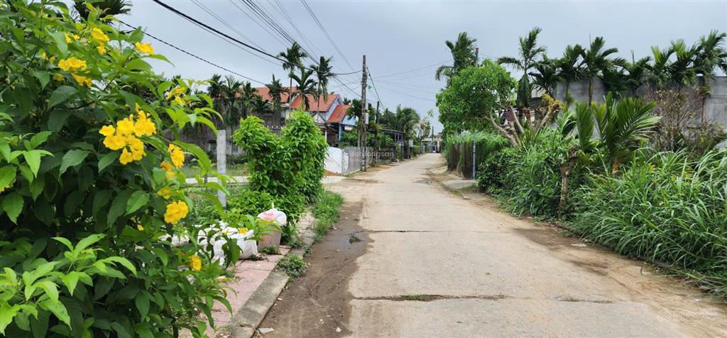 Bán đất chính chủ tại xã tịnh minh  sơn tịnh  quảng ngãi (đất đẹp, thích hợp xây nhà an cư)