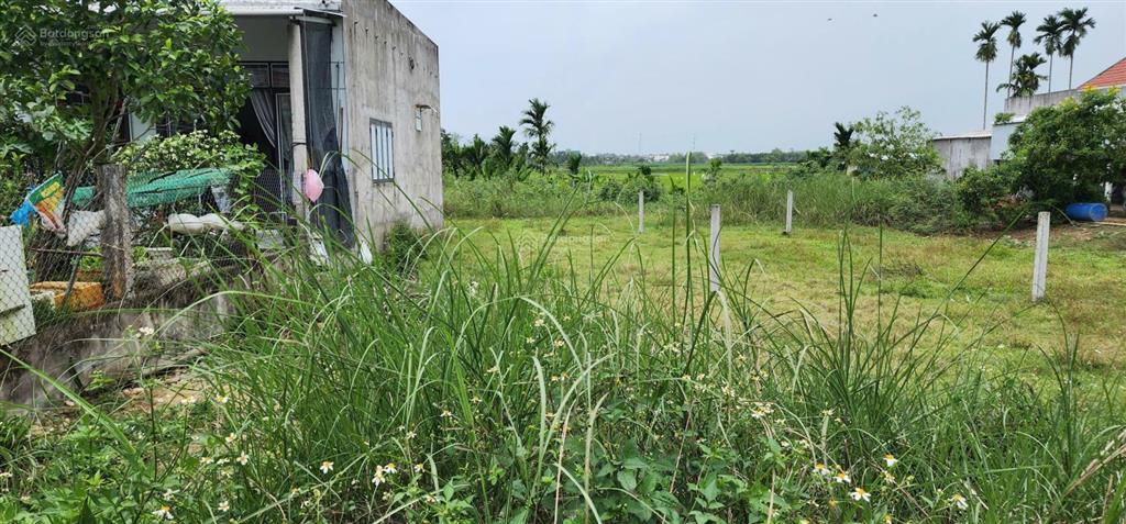 Bán đất chính chủ tại xã tịnh minh  sơn tịnh  quảng ngãi (đất đẹp, thích hợp xây nhà an cư)