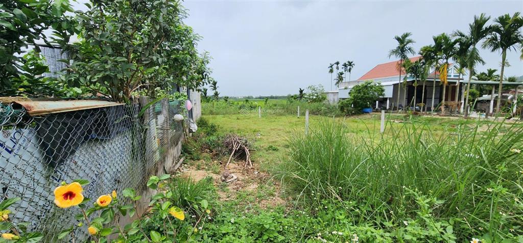 Bán đất chính chủ tại xã tịnh minh  sơn tịnh  quảng ngãi (đất đẹp, thích hợp xây nhà an cư)