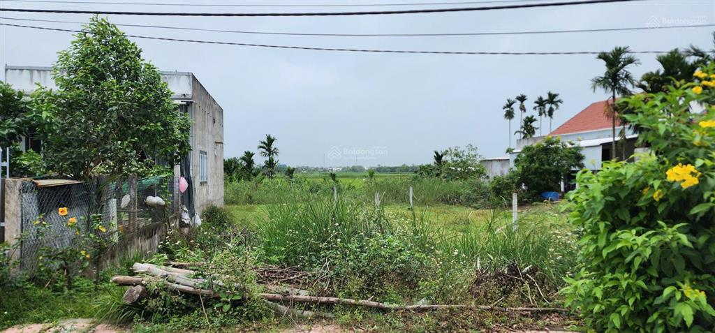 Bán đất chính chủ tại xã tịnh minh  sơn tịnh  quảng ngãi (đất đẹp, thích hợp xây nhà an cư)