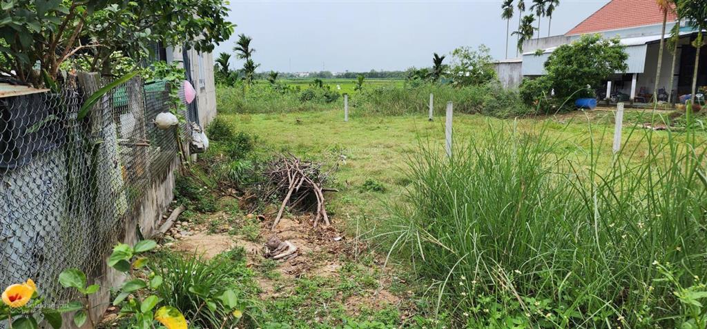 Bán đất chính chủ tại xã tịnh minh  sơn tịnh  quảng ngãi (đất đẹp, thích hợp xây nhà an cư)