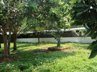 Bán nhanh đất vườn 1.597m², giá chỉ 3 tỷ