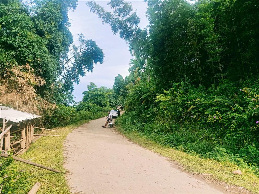 189tr !!! rẻ như cho  cơ hội có 102 cho nhà đầu tư!
diện tích cực đẹp 266m (sẵn 100m thổ