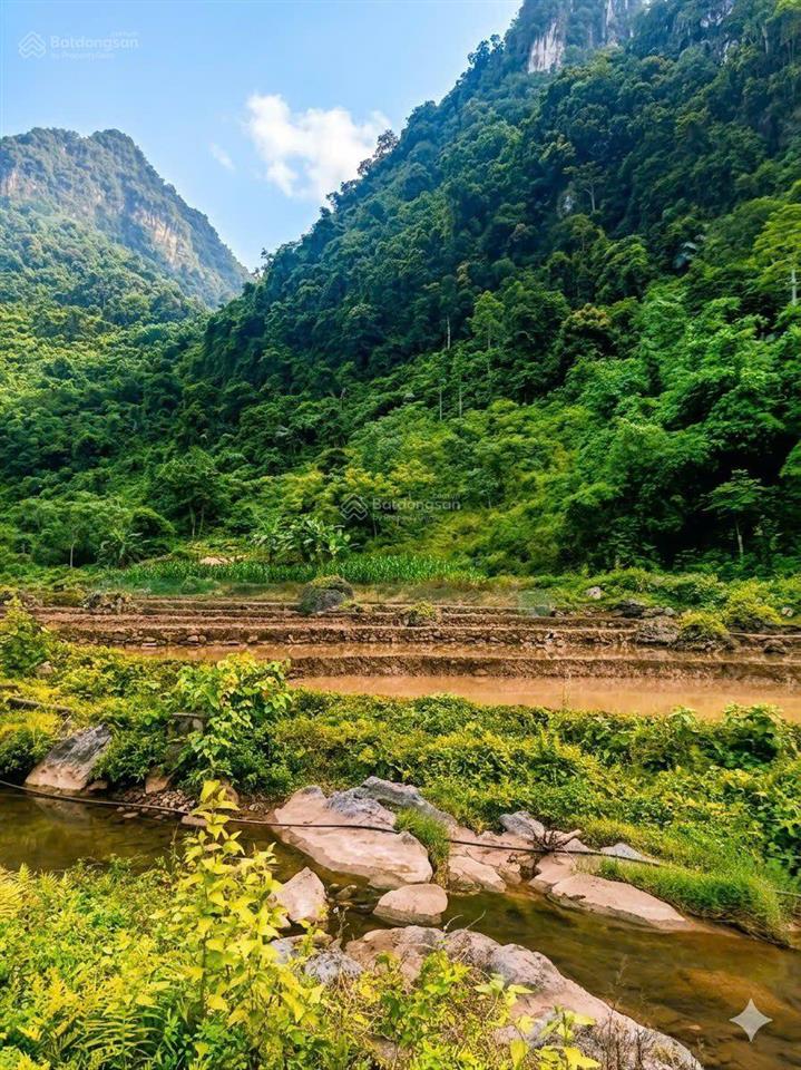 Siêu phẩm nghỉ dưỡng "tọa sơn ngoạ thủy" mảnh đất phong thủy vượng khí