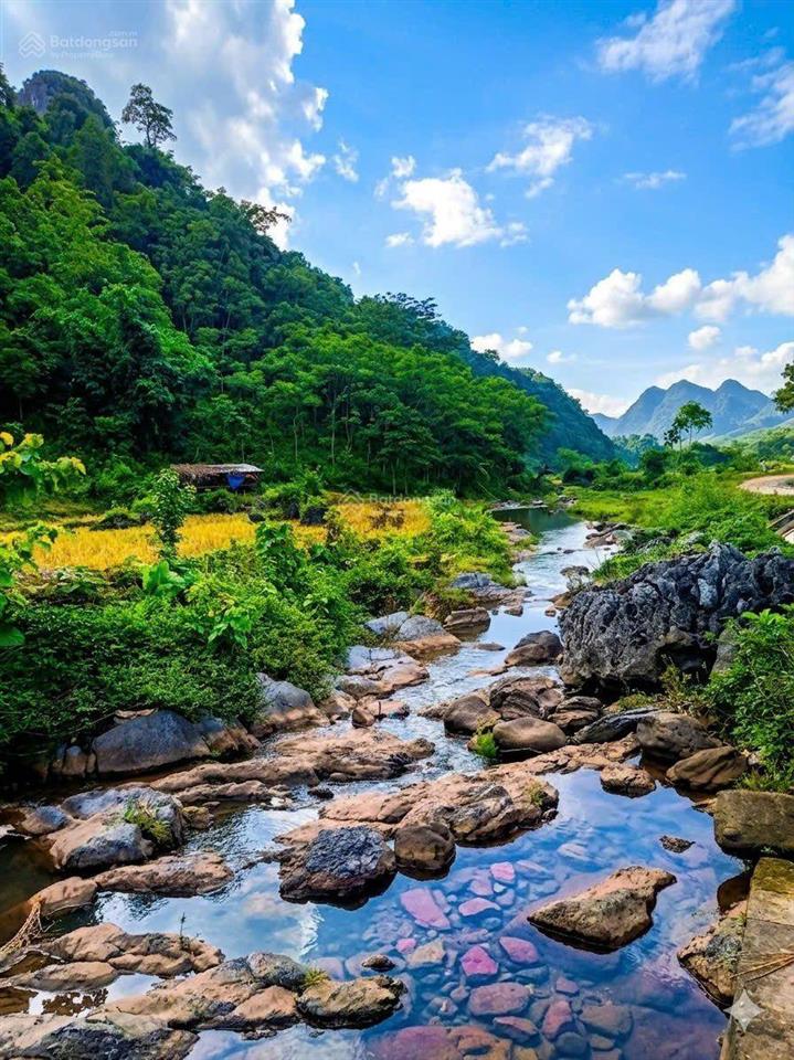 Siêu phẩm nghỉ dưỡng "tọa sơn ngoạ thủy" mảnh đất phong thủy vượng khí