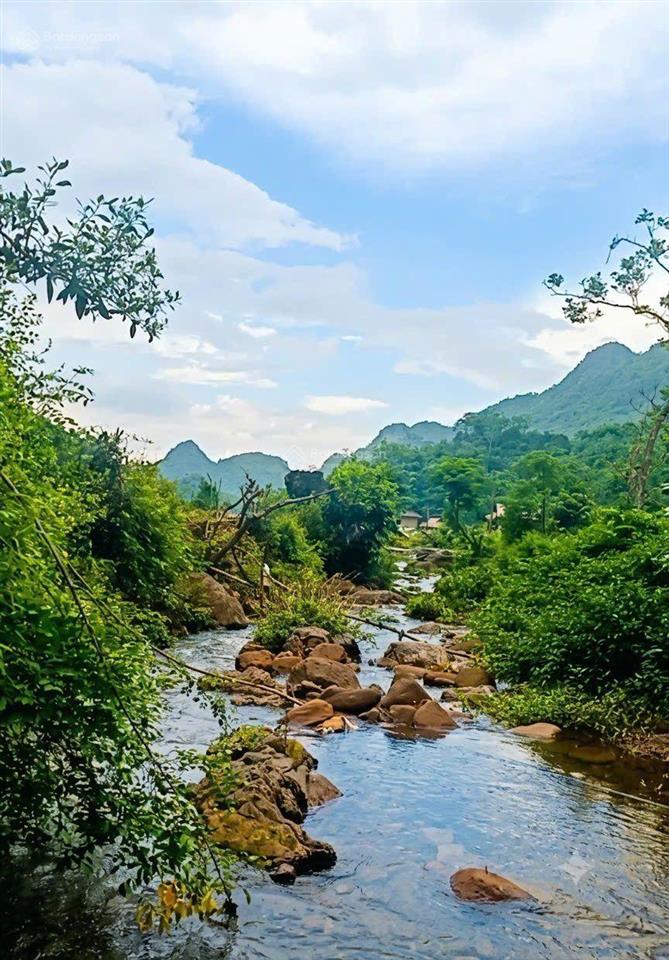 Siêu phẩm nghỉ dưỡng "tọa sơn ngoạ thủy" mảnh đất phong thủy vượng khí