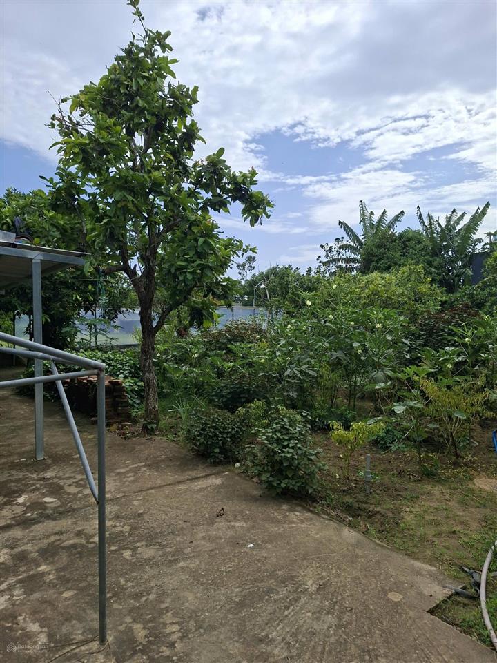Chính chủ bán quỹ đất 1.387m thôn hà tây 2, xã điện hòa, điện bàn, quảng nam