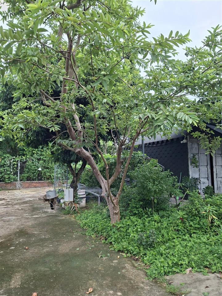 Chính chủ bán quỹ đất 1.387m thôn hà tây 2, xã điện hòa, điện bàn, quảng nam