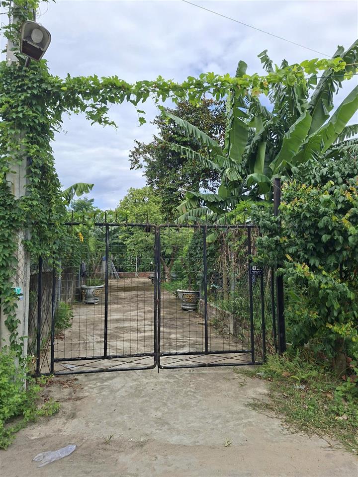 Chính chủ bán quỹ đất 1.387m thôn hà tây 2, xã điện hòa, điện bàn, quảng nam