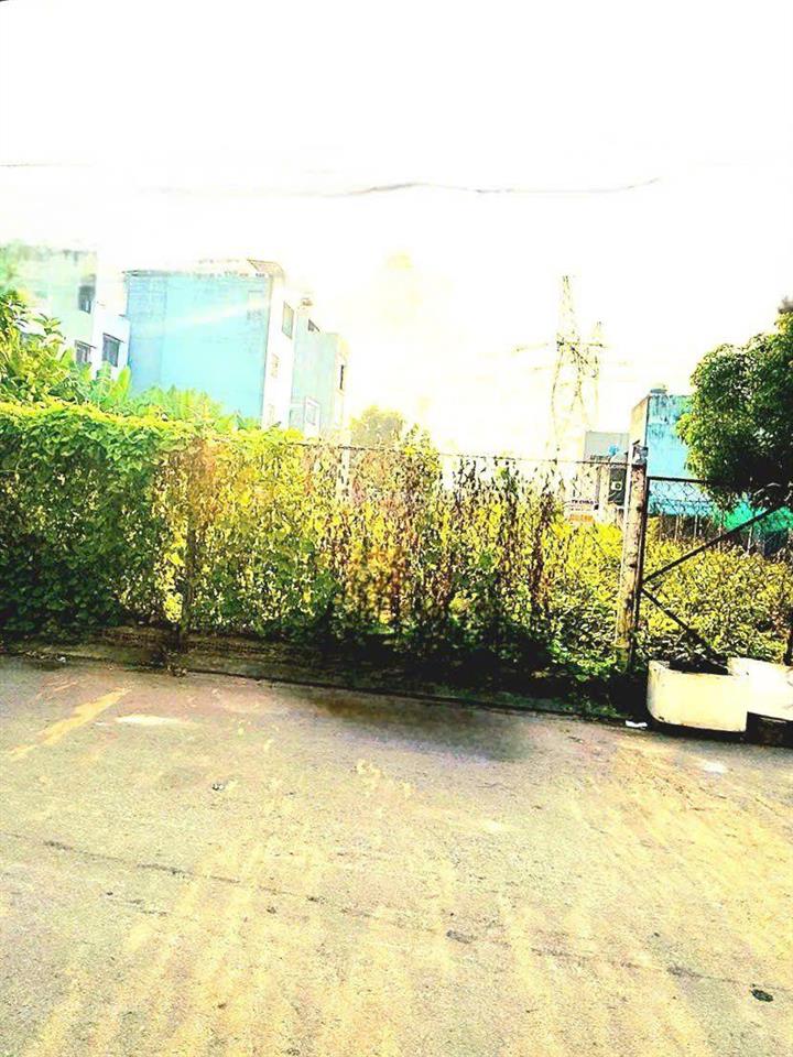 Bán đất đường hồ học lãm, phường an lạc, tphcm