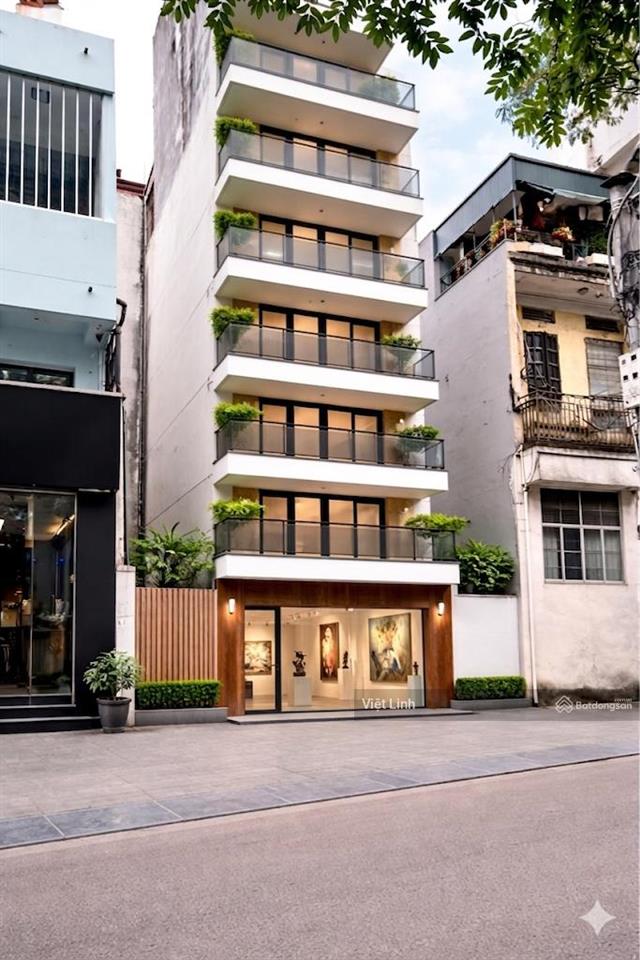 01 căn duy nhất  siêu phẩm hồng mai  mặt phố  28m2  mt 3.4m  giá 11.6 tỷ