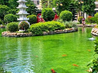 Bán 2pn+ căn góc the origami 3 tỷ 790 view koi vườn nhật  nhà mới 100% mua trực tiếp cđt vinhomes