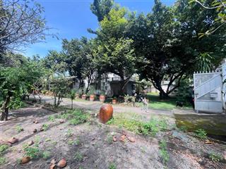 Giá rẻ! nhà nát tây hòa, phước long a, thủ đức, 6.8x32m, ~220m2 giá 13.5 tỷ (61 triệu/m2)