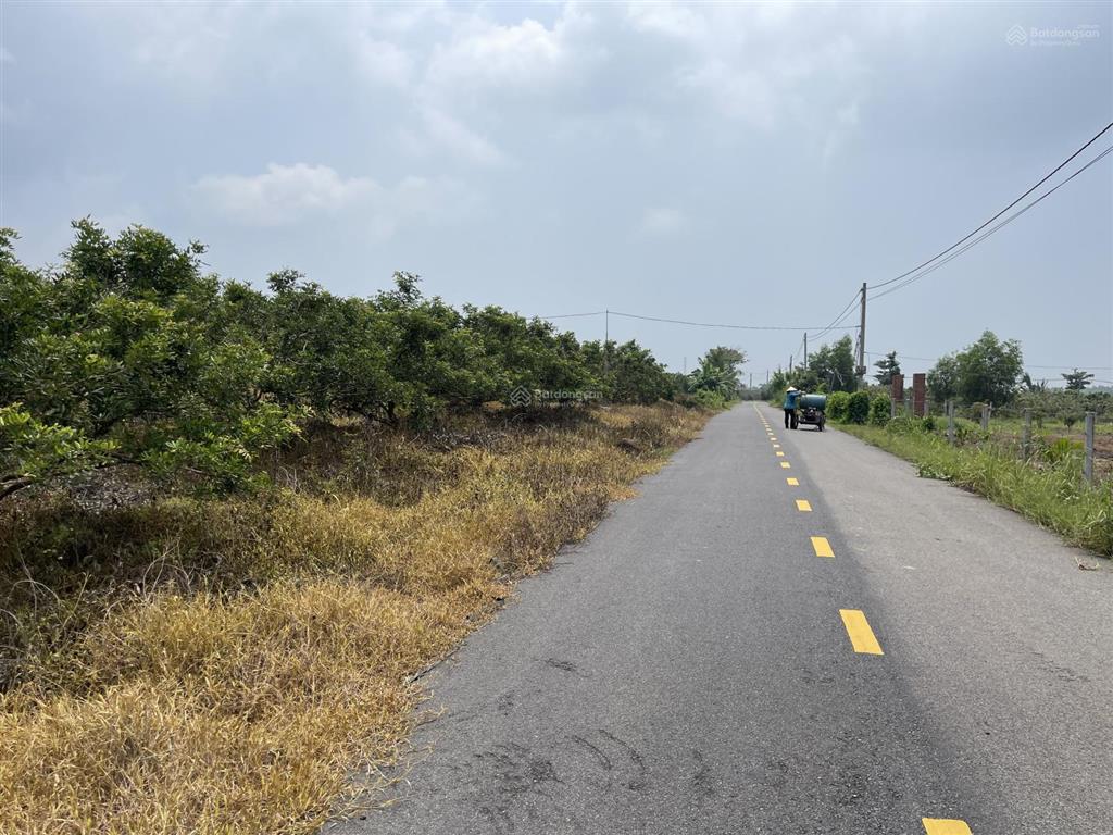 Đất vườn 10.000m sổ riêng chỉ 8,5 tỷ cơ hội đầu tư đẹp!