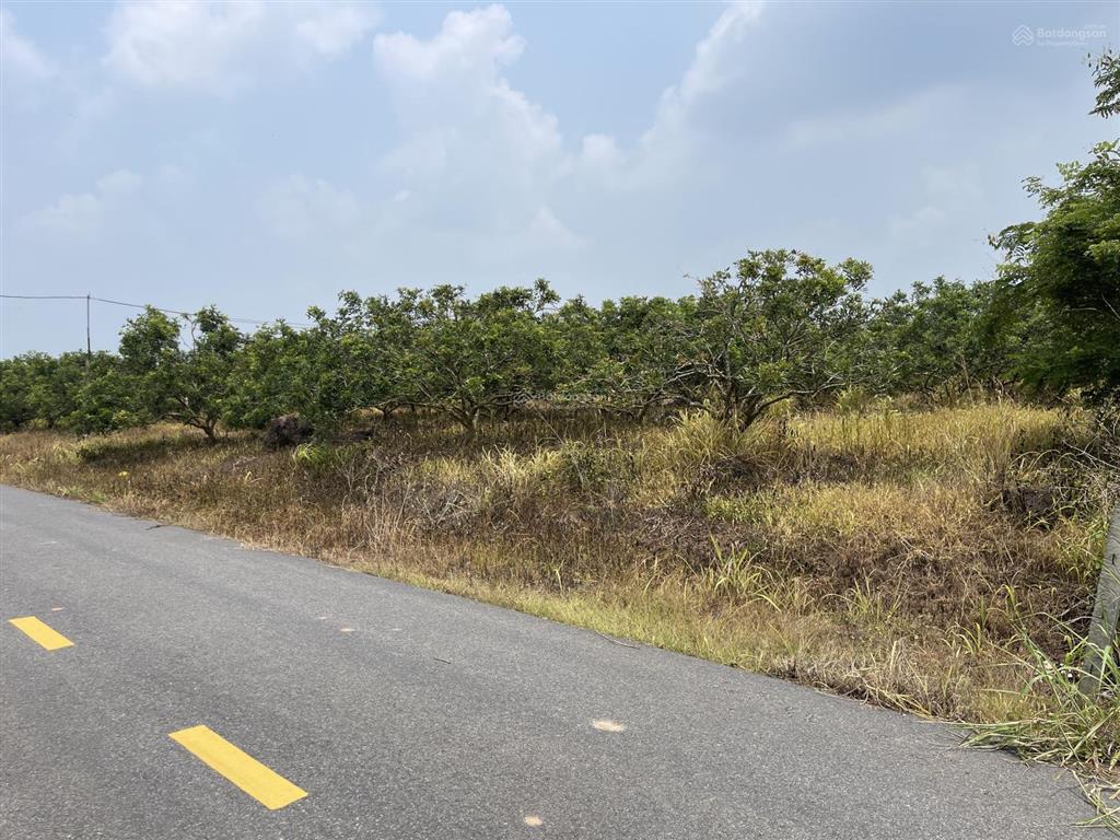 Đất vườn 10.000m sổ riêng chỉ 8,5 tỷ cơ hội đầu tư đẹp!