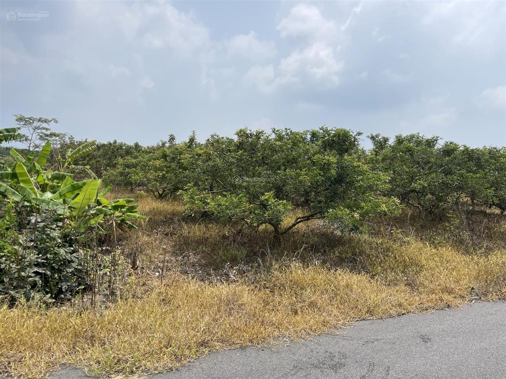 Đất vườn 10.000m sổ riêng chỉ 8,5 tỷ cơ hội đầu tư đẹp!
