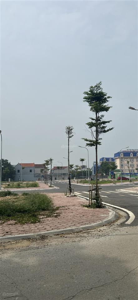 Chính chủ bán đất đấu giá chương mỹ, hà đông  85m  lô góc  cách ql6 200m  cụm cn phú nghĩa