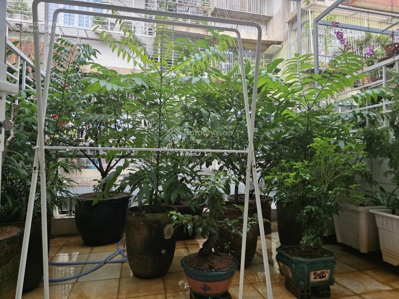 Bán nhà trục trần não q2 54m2 (3.6x15m) 3 tầng giá 11.5 tỷ  khu bộ công an, ô tô đậu cửa