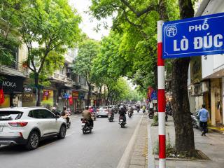 Siêu phẩm dòng tiền chung cư mini phố lò đúc 50m 11 phòng khép kín thang máy pccc chuẩn giá 10 tỷ.