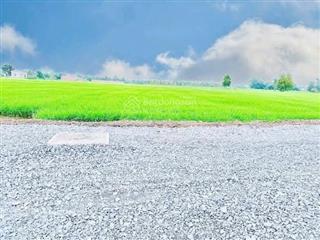 Đất đẹp đường xe hơi, nằm sau lưng chợ hòa khánh 5x29m nở hậu 6m,chủ gửi 790tr