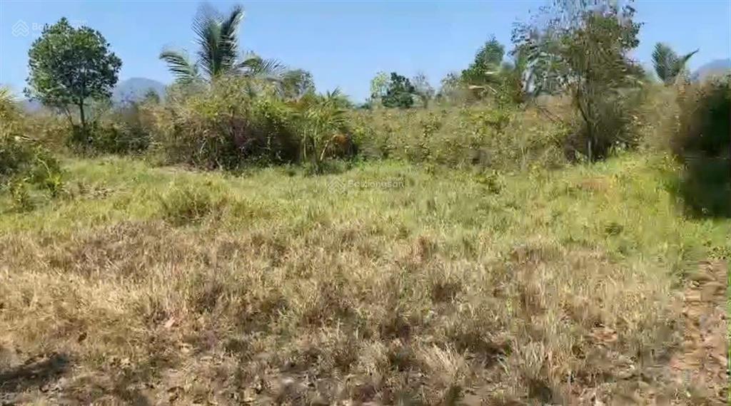 Cần bán lô đất thôn xóm mới, xã tây ninh hòa (ninh tây) dt 15.399m²