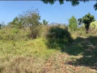 Cần bán lô đất thôn xóm mới, xã tây ninh hòa (ninh tây) dt 15.399m²